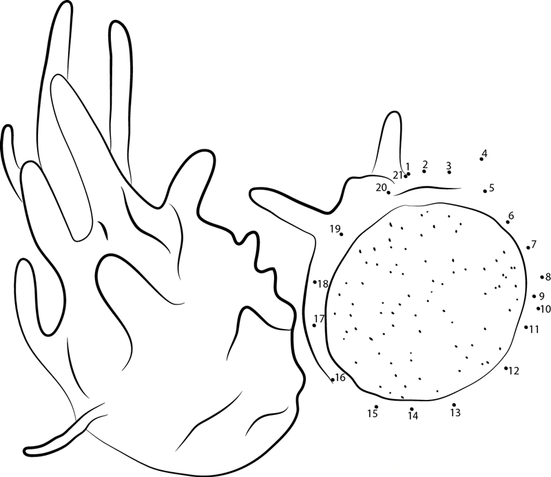 Dragon Fruit Wpins dot to dot worksheets