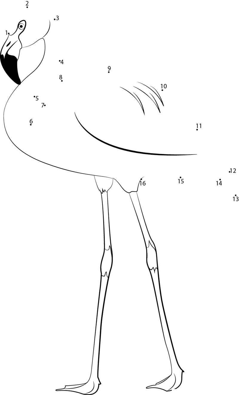 Chilean Flamingo dot to dot worksheets