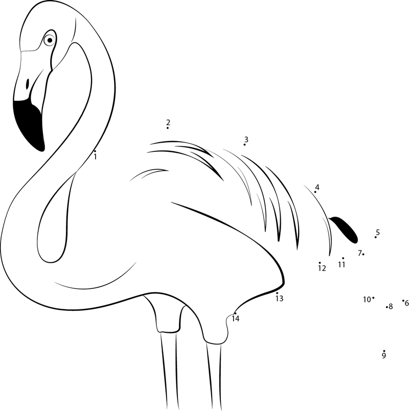 Close Up Of Pink Flamingo dot to dot worksheets