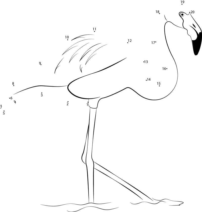 Flamingo At Laguna Colorada dot to dot worksheets