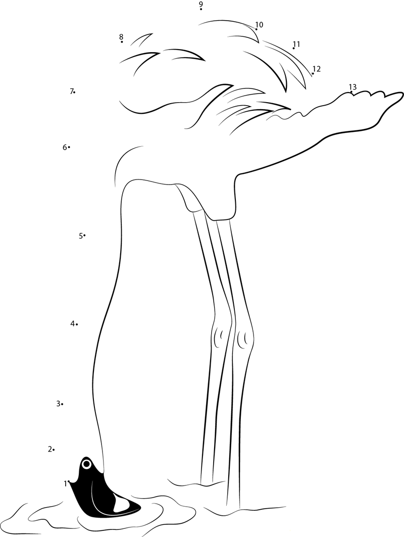 Flamingo At The Waterhole dot to dot worksheets