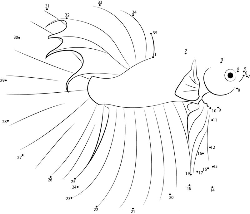 Betta Fish printable dot to dot worksheet