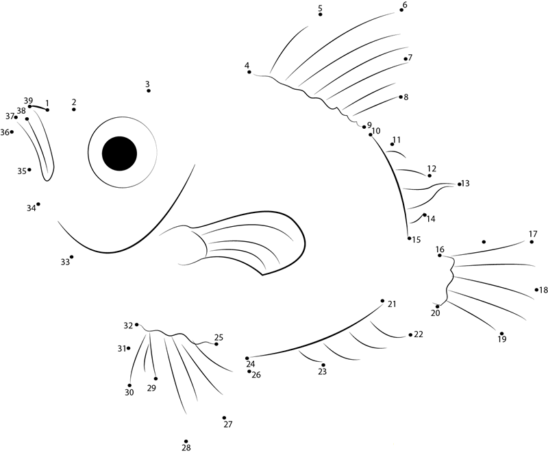 Boar Fish printable dot to dot worksheet