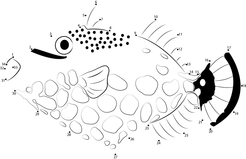 Clown Trigger Fish printable dot to dot worksheet