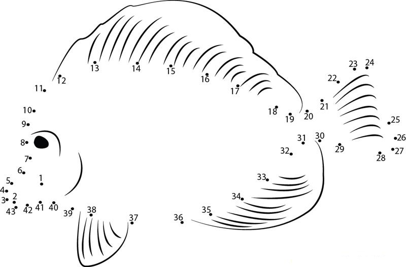 Cute Fish dot to dot worksheets